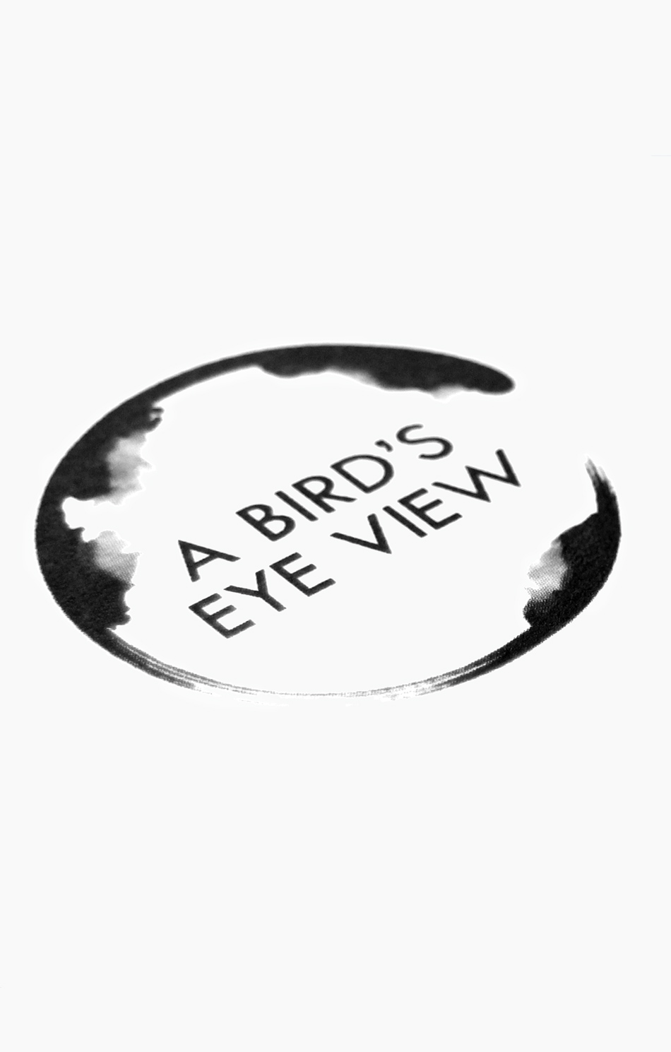 A Bird's Eye View Logo