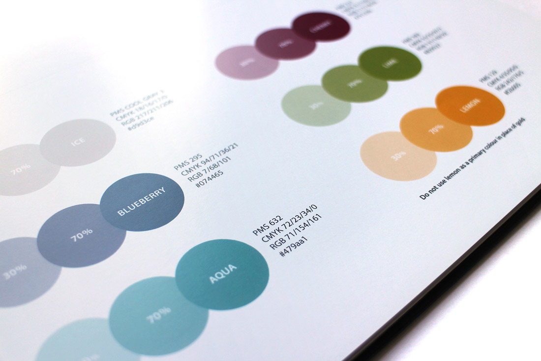 Brand Diageo Toolkit Colour Palette