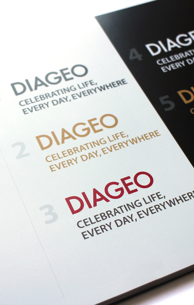 Brand Diageo Toolkit Logo Usage